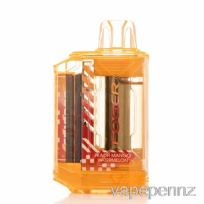 Foger CT10000 Disposable Peach Mango Watermelon VAPE NZ